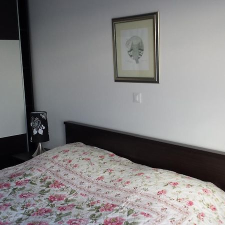 Apartment Ika زادار المظهر الخارجي الصورة